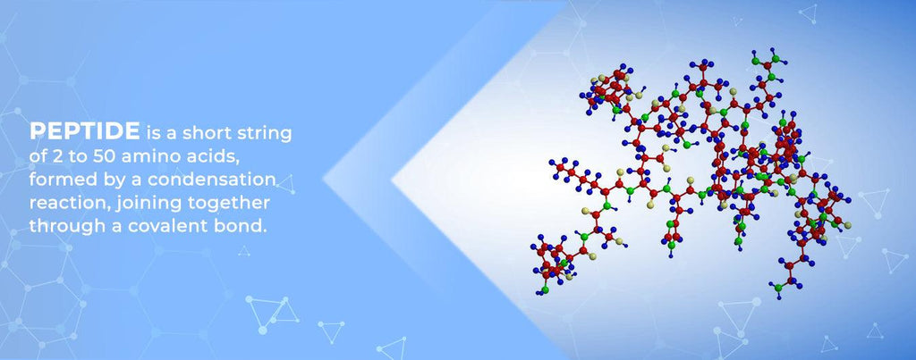 Peptide – Keya Seth Aromatherapy