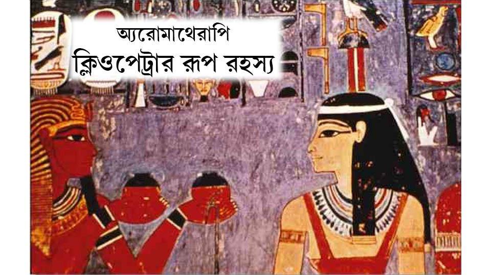 Gollivud aktrisalarining jinsiy aloqa sahnalari Hojatxonada osurayotgan ayollarning yashirin kamerasi