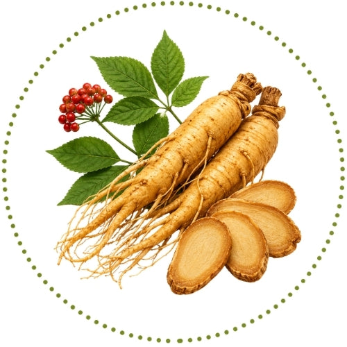 KOREAN RED GINSENG