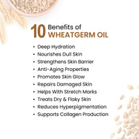 Wheatgerm Body Oil - Protecting, Deep Moisturizing, Repairing, Nourishing; Non-Sticky, Quick-Absorbing