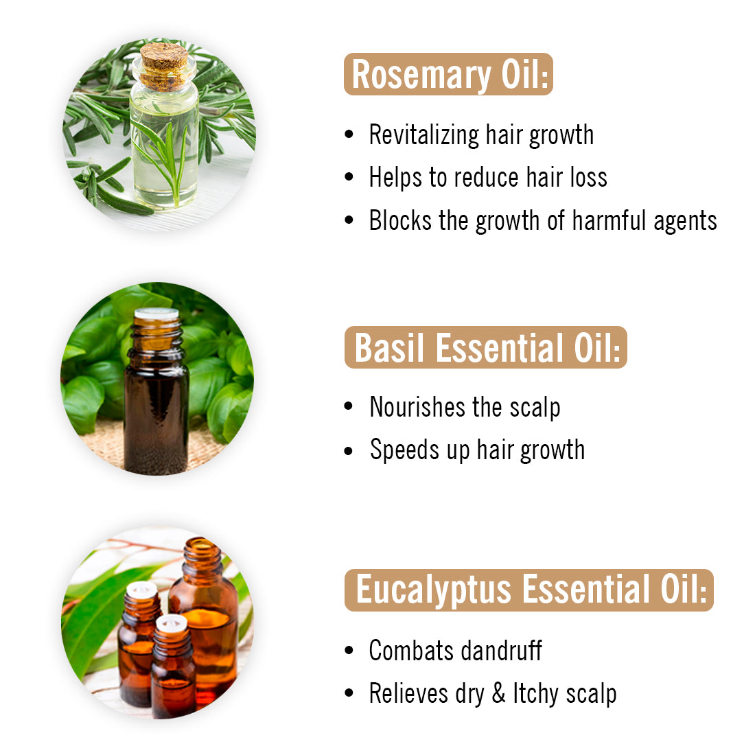 Alopex Hair Oil for Complete Hair Nourishment – Keya Seth Aromatherapy