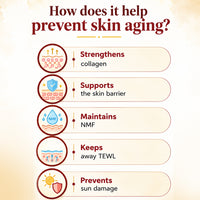 Stopage-Age Reversal Treatment - Reduces Signs of Aging & Control Wrinkles, Rejuvenating, Night Cream for Glowing & Youthful Skin with Goodness of Essential Oil - Keya Seth Aromatherapy