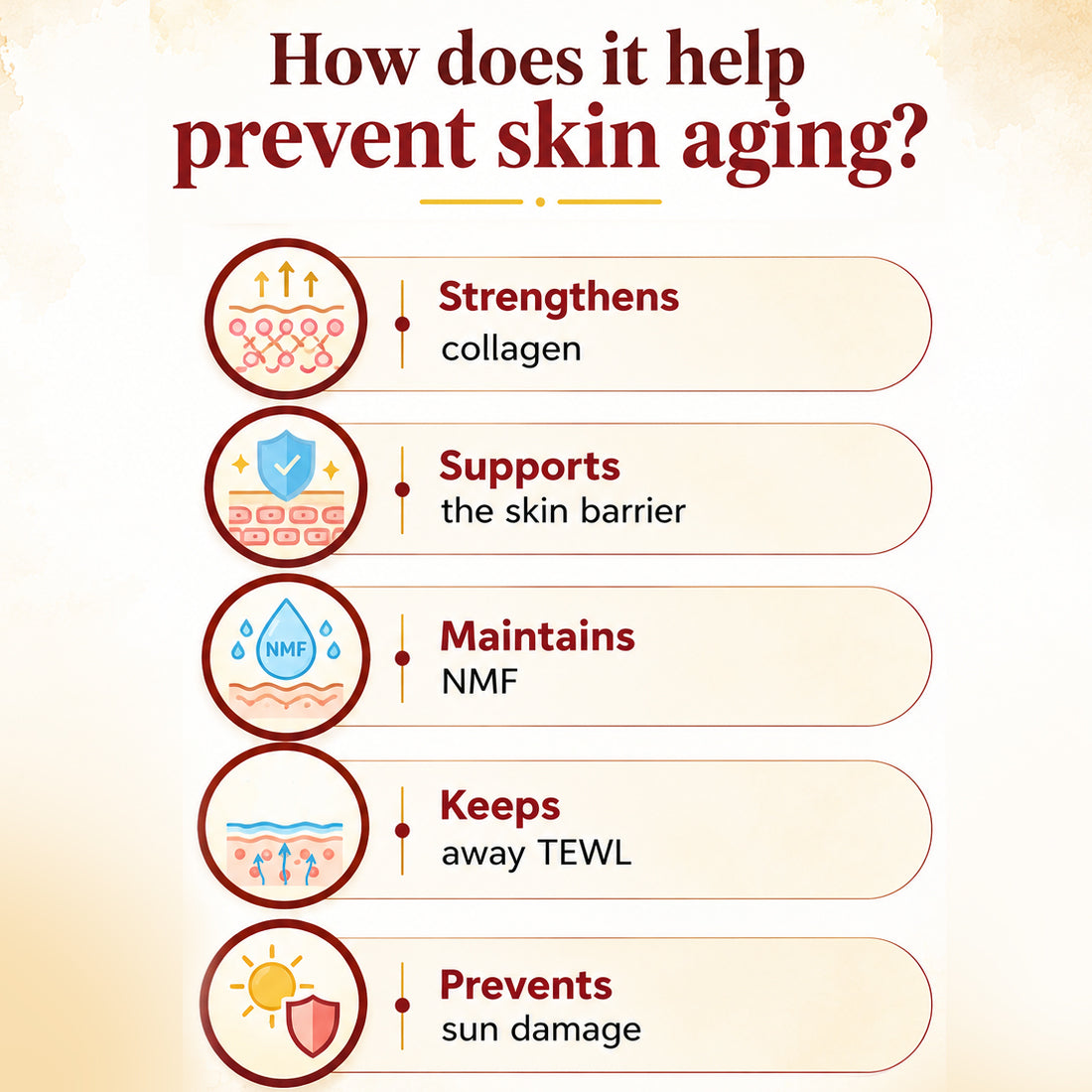 Stopage-Age Reversal Treatment - Reduces Signs of Aging & Control Wrinkles, Rejuvenating, Night Cream for Glowing & Youthful Skin with Goodness of Essential Oil - Keya Seth Aromatherapy