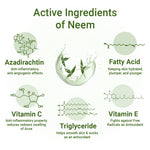 Neem Essential Skin Care Routine Kit for Oily & Acne Prone Skin for Men & Women I Facewash + Gel Moisturizer + Toner with Neem & Tulsi., Skin Care, Skin Care, Keya Seth Aromatherapy