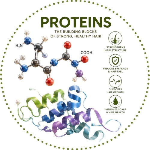 PROTEINS