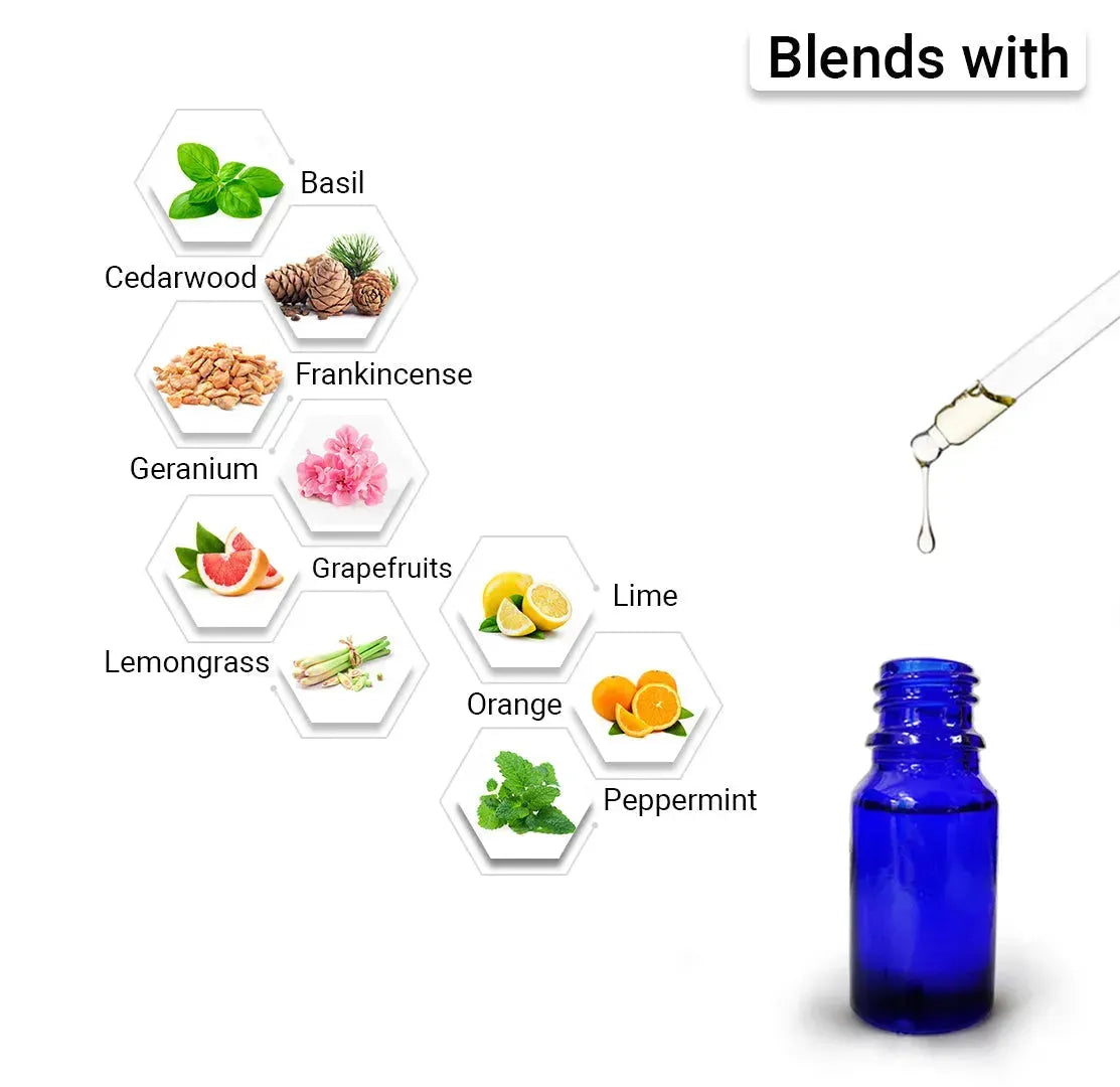 Qizi porno video Internetda aqldan ozgan guruh jinsiy aloqa