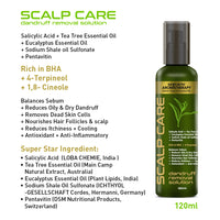 Monsoon Haircare Kit, Scalp Care Dandruff Removal Shampoo & Solution, Alopex Penta Active 10 Solution, Fights Dandruff & Itchiness, Soothes, New Hair Growth - Keya Seth Aromatherapy
