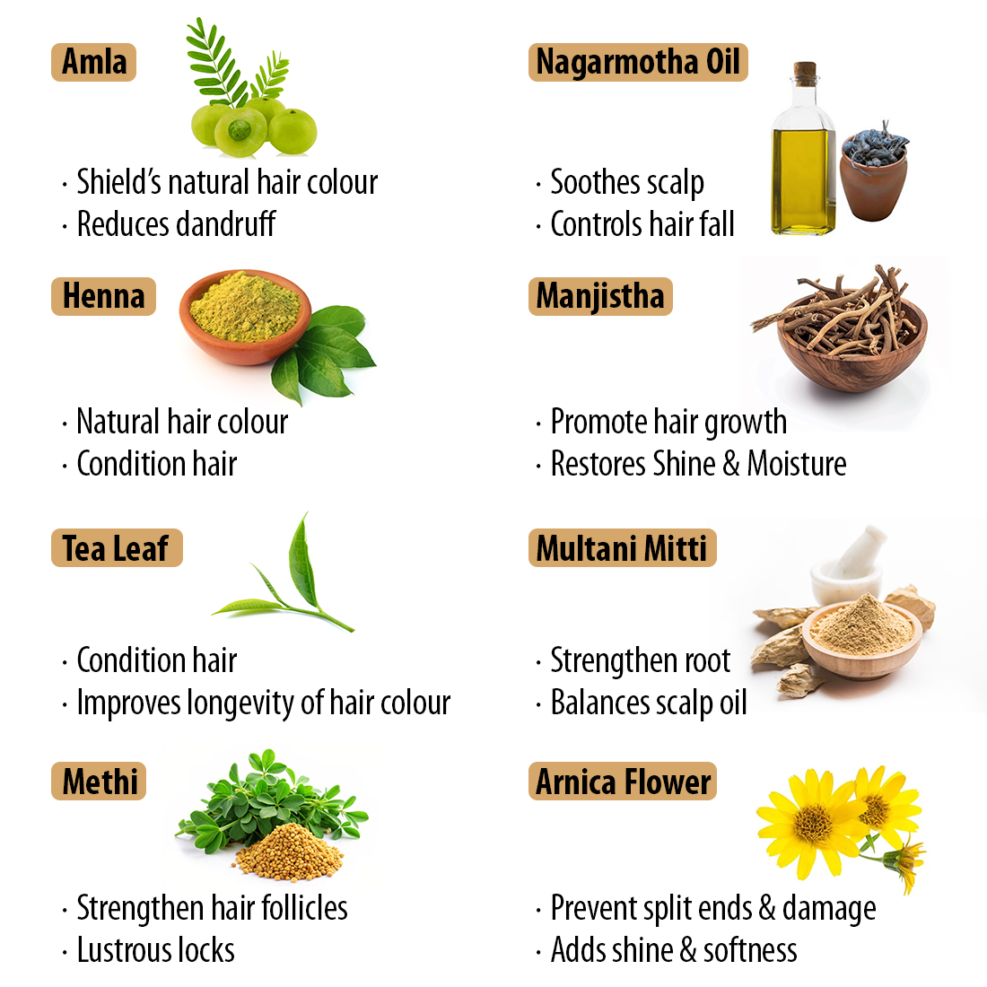 Black Shine Hair Pack Natural Hair Color for Gray & White Hair with ...