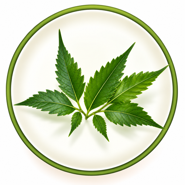 Neem