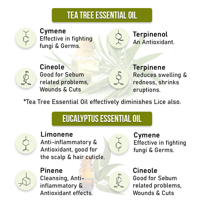 Scalp care Dandruff Removal Solution with Salicylic Acid, Tea Tree & Eucalyptus Oil,Reduces Dandruff & Flakes, Soothes Itchy scalp & Nourishes Hair