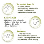 Scalp care Dandruff Removal Solution with Salicylic Acid, Tea Tree & Eucalyptus Oil,Reduces Dandruff & Flakes, Soothes Itchy scalp & Nourishes Hair