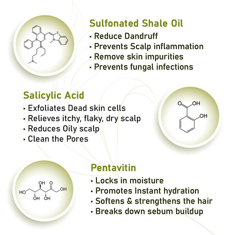 Scalp care Dandruff Removal Solution with Salicylic Acid, Tea Tree & Eucalyptus Oil,Reduces Dandruff & Flakes, Soothes Itchy scalp & Nourishes Hair