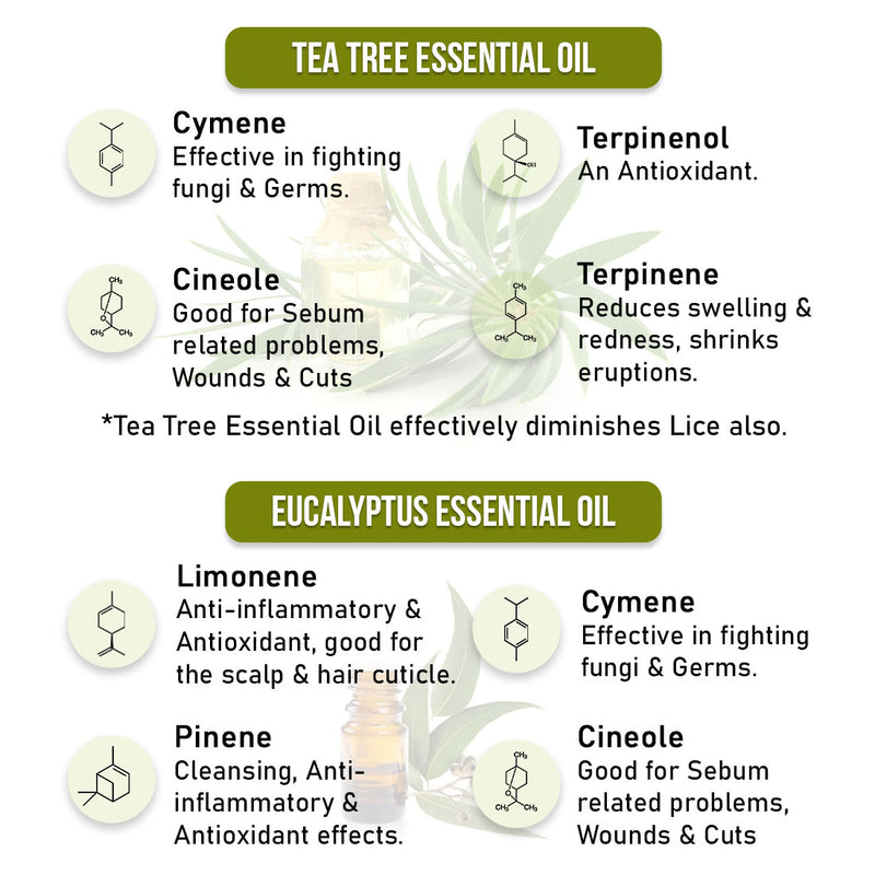 Scalp care Dandruff Removal Kit with Salicylic Acid, Tea Tree & Eucalyptus Oil –Reduces Dandruff & Flakes, soothes Itchy & Oily Scalp