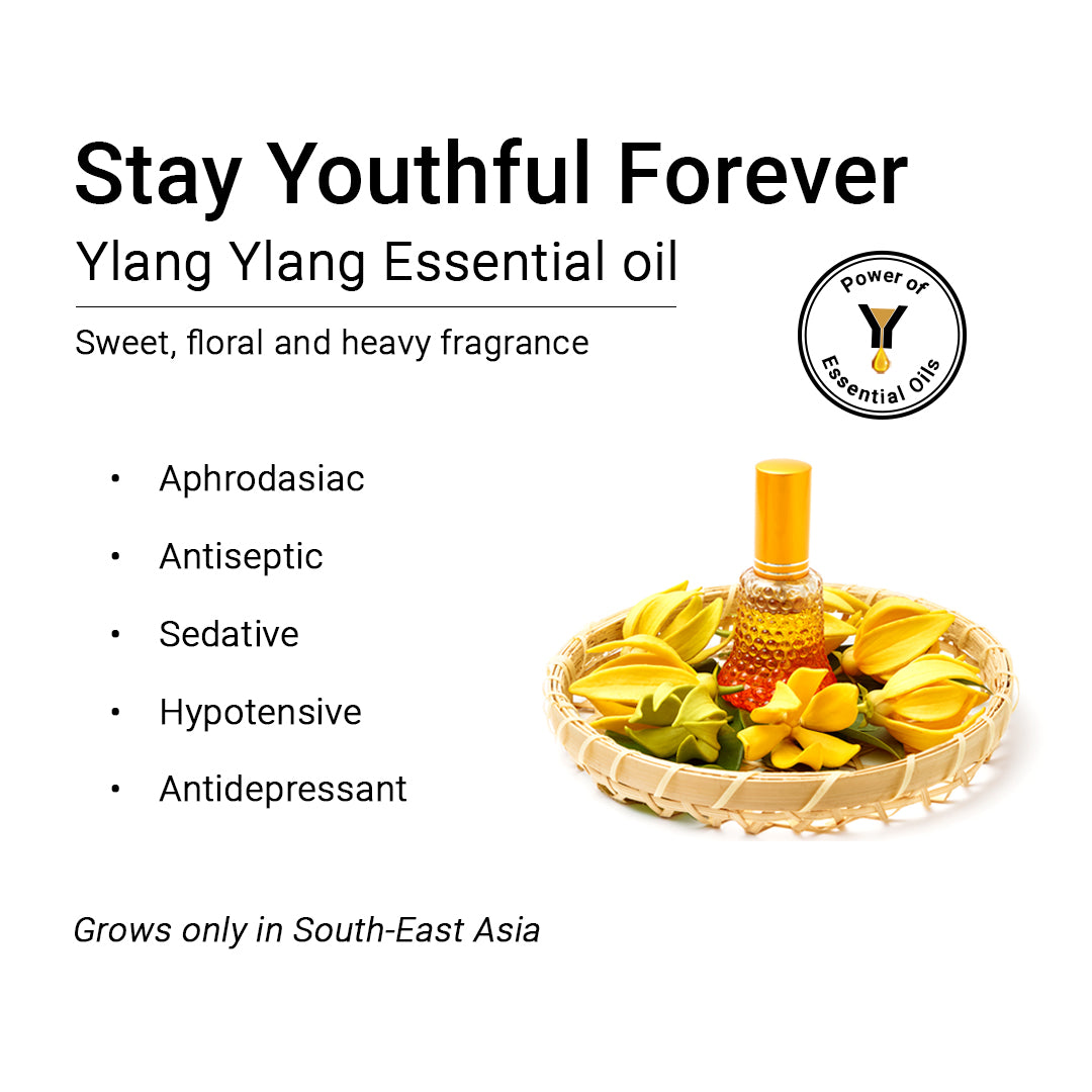 Ylang Ylang Essential Oil, Therapeutic Pure & Natural, Romantic, Relax –  Keya Seth Aromatherapy