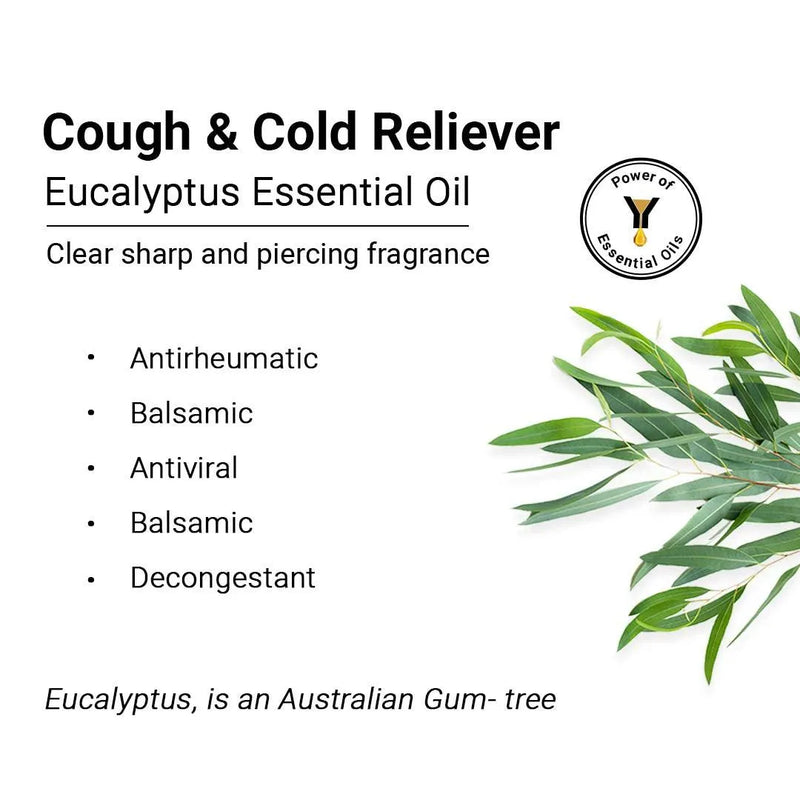 Eucalyptus Essential Oil, Therapeutic, Pure & Natural, Headache, Sinus, Nasal Congestion, Cold & Cough, Antiseptic & Insecticide 10ml, Essential Oil, Keya Seth Aromatherapy