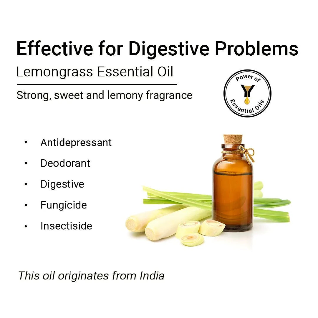 Tez suratda porno juda Keng son seksi porno foto tumbir