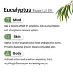 Eucalyptus Essential Oil, Therapeutic, Pure & Natural, Headache, Sinus, Nasal Congestion, Cold & Cough, Antiseptic & Insecticide 10ml, Essential Oil, Keya Seth Aromatherapy