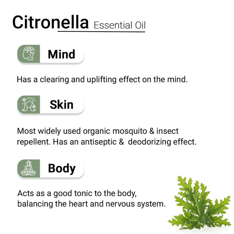 Citronella Essential Oil, Therapeutic, Pure & Natural, Insect & Mosquito Repellent, Antiseptic, Mood Up lifter 10ml, Essential Oil, Keya Seth Aromatherapy