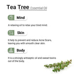 Tea Tree Essential Oil, Therapeutic Pure & Natural, Boosts Immunity, Disinfectant, Antiseptic, Cold & Cough, Dandruff Removal, Skin Cleanser 10ml