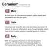 Geranium Essential Oil, Therapeutic, Pure & Natural, Balances Sebum, Increases Collagen & Blood Flow, Breast Toner & Regulates Hormone 10ml, Essential Oil, Keya Seth Aromatherapy