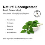Basil Essential Oil, Therapeutic, Pure & Natural, Holy Basil (Tulsi) Spiritual Concentration, Headache, Digestive & Antiseptic 10ml