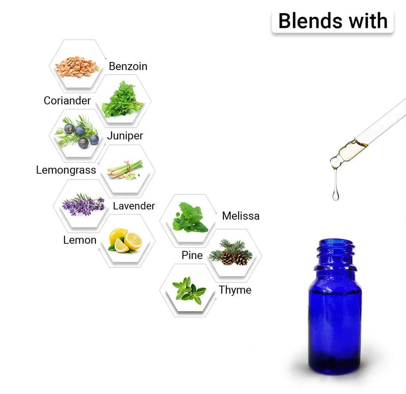 Eucalyptus Essential Oil, Therapeutic, Pure & Natural, Headache, Sinus, Nasal Congestion, Cold & Cough, Antiseptic & Insecticide 10ml