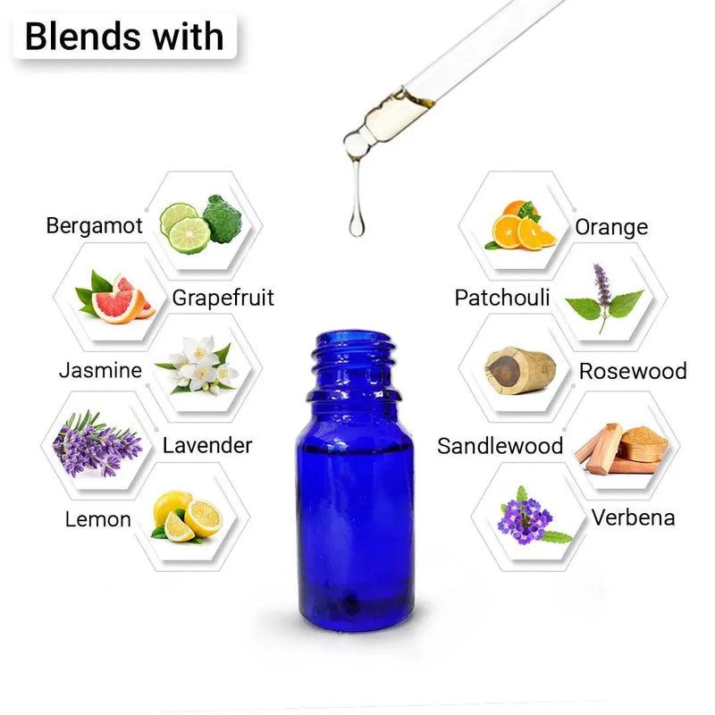 Basil Essential Oil Therapeutic Pure Natural Holy Basil