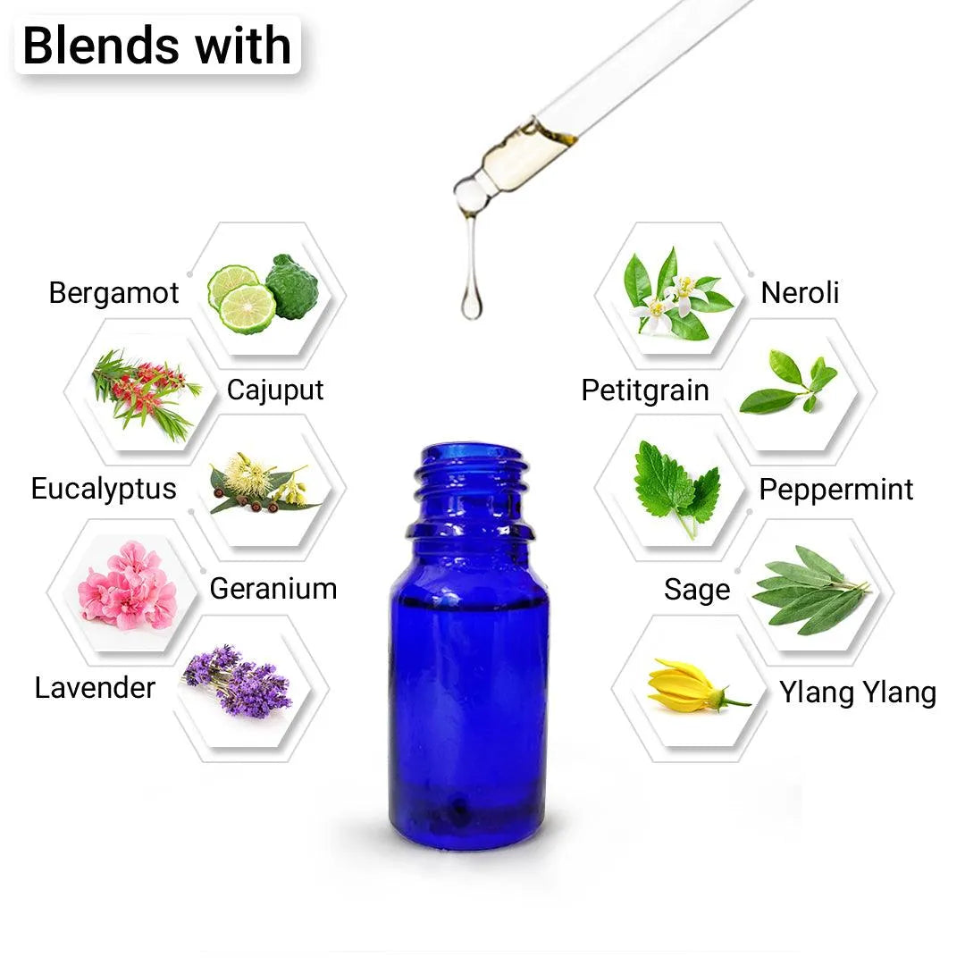 Insect repellent essential oils hotsell