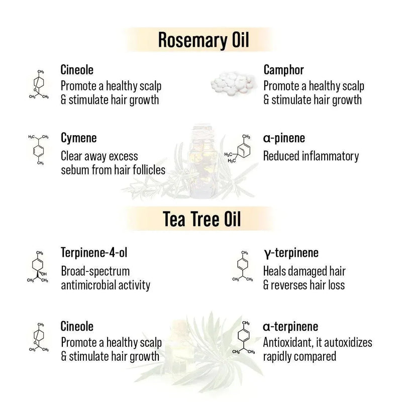 Alopex Long N Strong Hair Oil with Rosemary & Tea Tree Essential Oil – Strengthens Hair, Reduces Hair Fall, Promotes Hair Growth & Nourishes Hair Follicles & Scalp