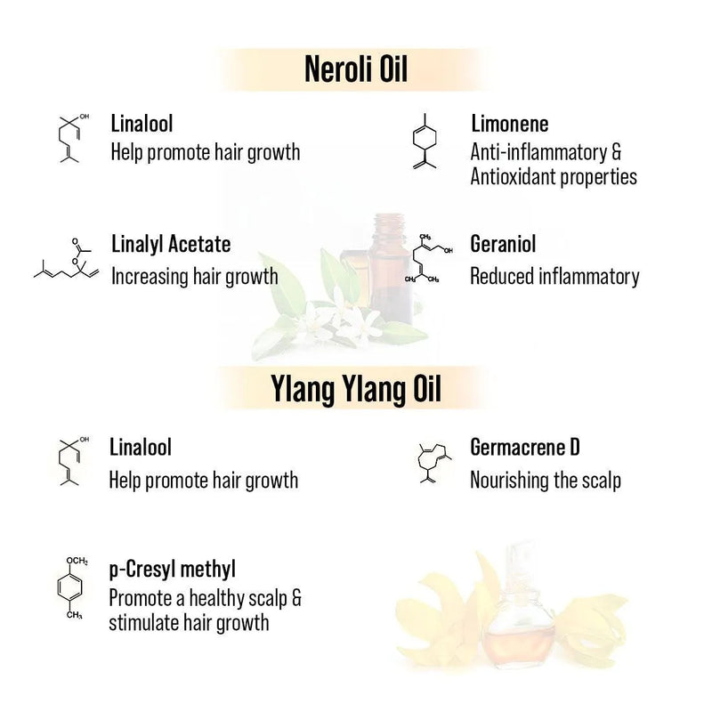Alopex Long N Strong Hair Oil with Rosemary & Tea Tree Essential Oil – Strengthens Hair, Reduces Hair Fall, Promotes Hair Growth & Nourishes Hair Follicles & Scalp