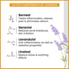 Energizing & Lavender-Rose Body Massage Oil combo pack for men & women