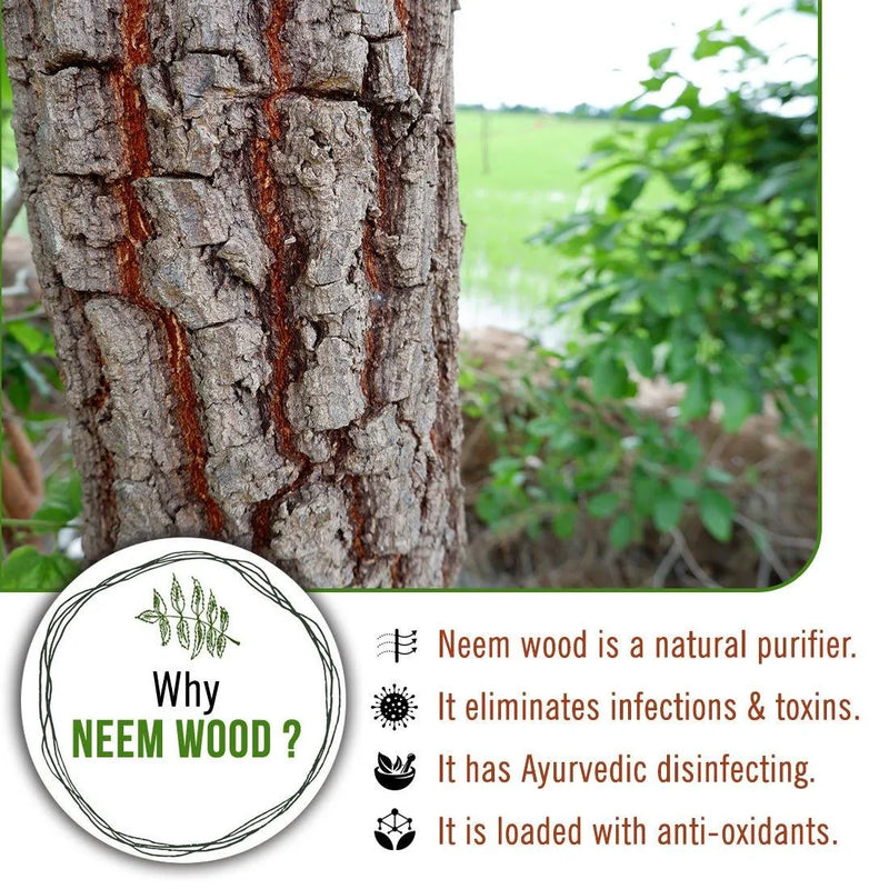 Neem wooden Tail Comb – Keya Seth Aromatherapy