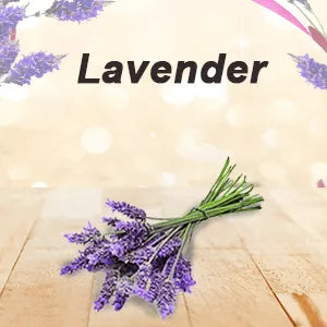 Root Active Hair Vitalizer Enriched with Lemongrass,Rosemary,Lavender,Basil & Tea Tree