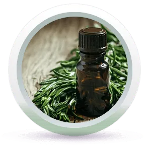 Root Active Hair Vitalizer Enriched with Lemongrass,Rosemary,Lavender,Basil & Tea Tree