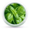 Root Active Hair Vitalizer Enriched with Lemongrass,Rosemary,Lavender,Basil & Tea Tree